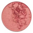 Orgazzle  (also known as High Five)Universal Blush In Compact Online