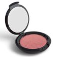 Orgazzle  (also known as High Five)Universal Blush In Compact Online